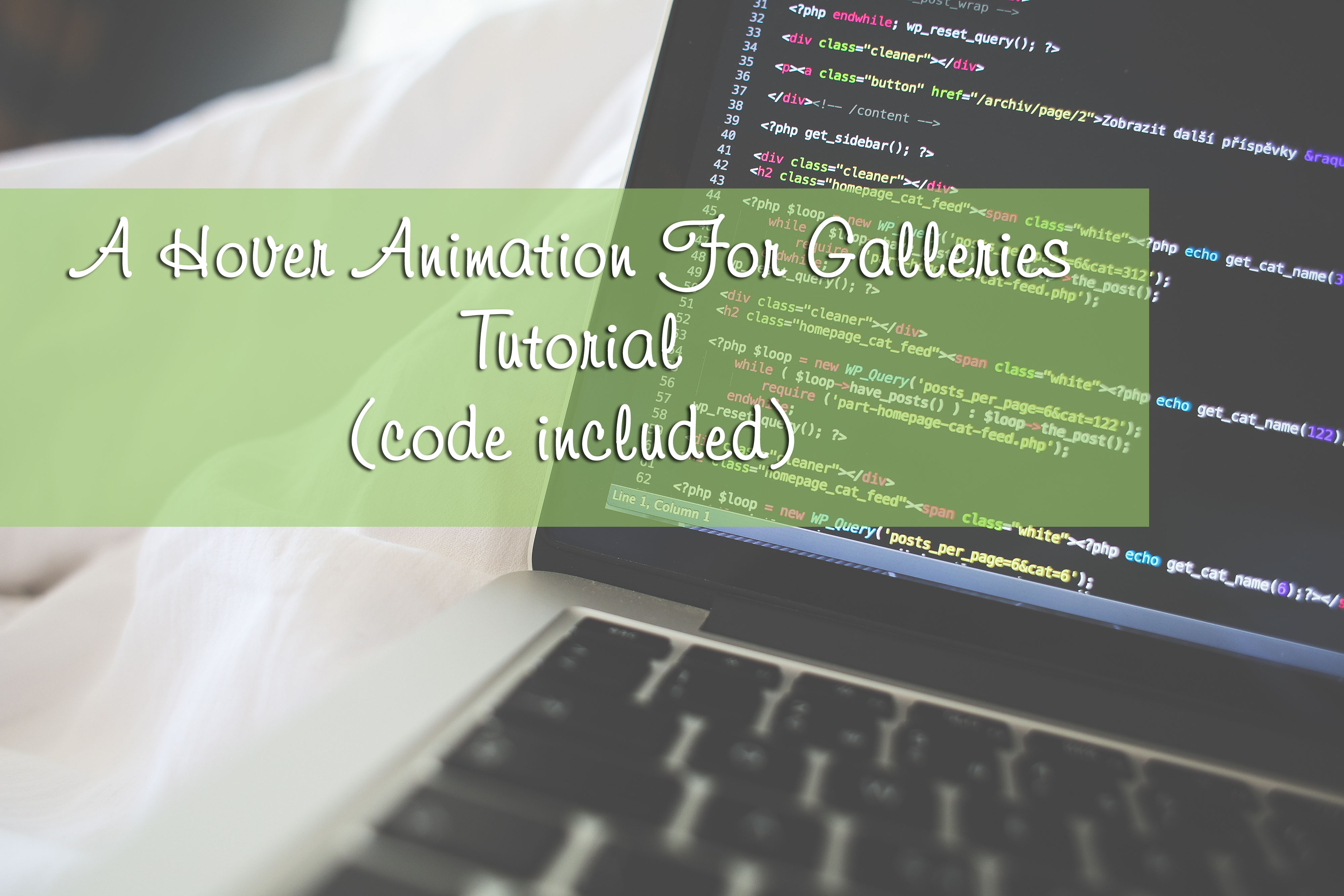 Hover Animation Tutorial:  For Photo Galleries